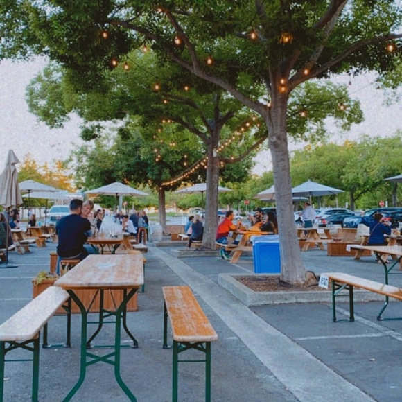 Meet your Posher, Dana - Picture 1 of 1